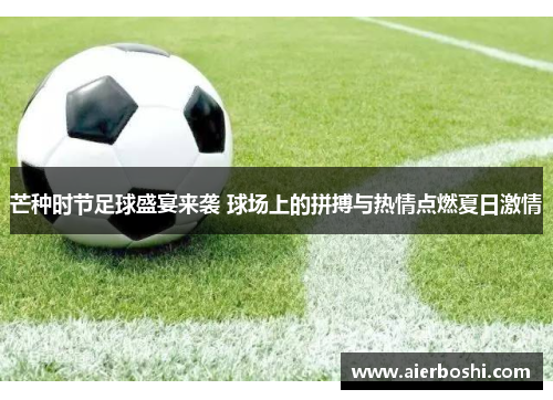 芒种时节足球盛宴来袭 球场上的拼搏与热情点燃夏日激情